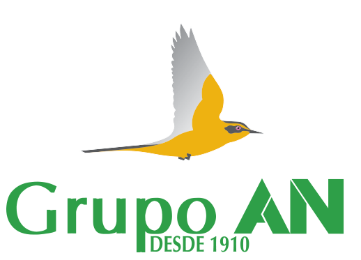 Logo Grupo AN